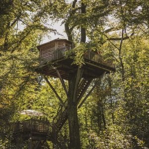 Cabane dans les arbres, perchée au milieu dune forêt verdoyante et lumineuse.