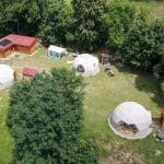 The Mush’s rooms