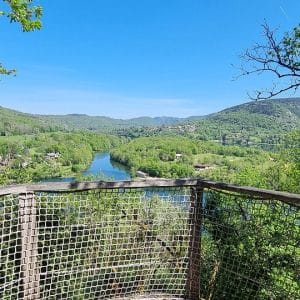 vue pinede