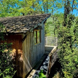 vue pinede2